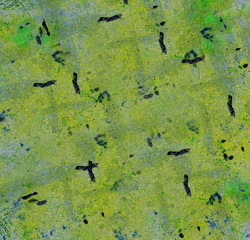 shabby paint and plaster cracks