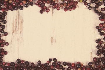 Vintage photo, Frame of autumn fresh elderberry and copy space for text