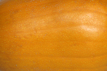 pumpkin yellow texture