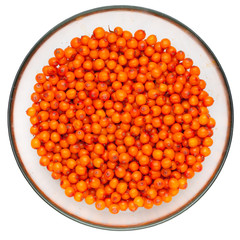 sea buckthorn berries in a plate, white background