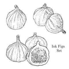 Ink figs sketches set