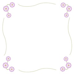 Fuchsia and White Cosmos Flower Frame with Copy Space