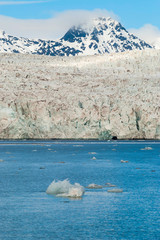 Icebergs in front of the glacier, Svalbard, Arctic