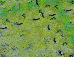 shabby paint and plaster cracks