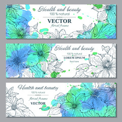 Set of three horizontal banners with beautiful clematis flowers