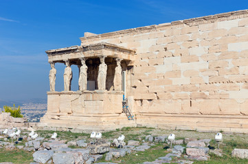 Obraz premium The Caryatid Porch of the Erechtheum , Acropolis, Greece