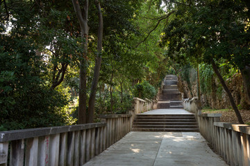 Fototapeta na wymiar Long flight of stony steps to the Marjan hill surrounded by trees in Split, Croatia.