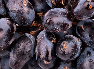 Fresh black grapes with drops close-up