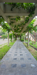 Sidewalk near Golden Jubilee Convention Hall at Khonkaen university, Thailand.
