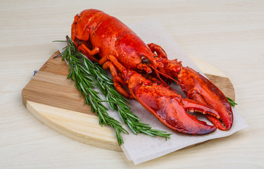 Lobster