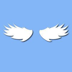 beautiful white wings on a blue background with shadow
