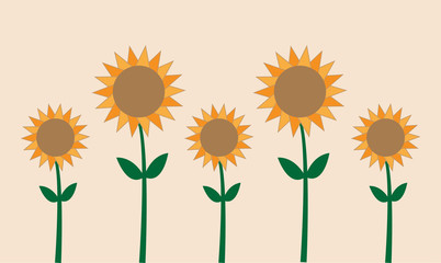 Sunflowers