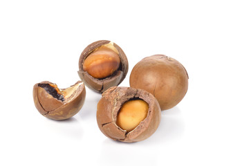 Macadamia nut on white background