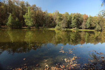 Fototapeta na wymiar Lake Forest autumn landscape nature