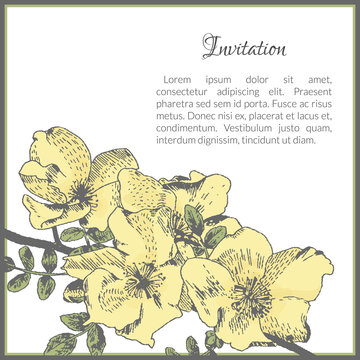 Invitation card template with dog-rose flower