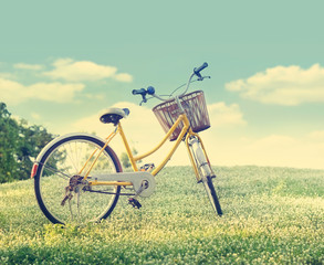 Bicycle on the white flower field and grass in sunshine nature background