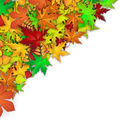 Vector background with colorful autumn leaves