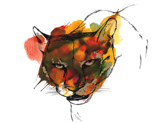 Head of puma/cougar/mountain lion, black and gold drawing on a yellow orange and green watercolor splash background.