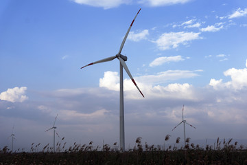 Electric energy windmills on a large field