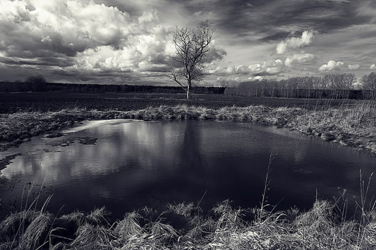 Fototapeta black and white photo autumn landscape