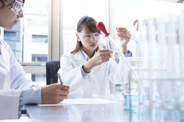 College students are experimenting in the laboratory