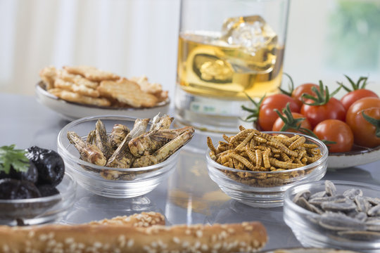 Alimentation Ap&eacute;ritif