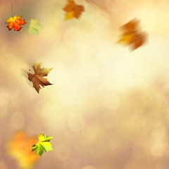 Autumnal fall. Abstract seasonal backgrounds