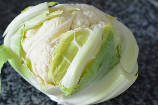 Cabbage White On A Green Granite Kitchen Surface
