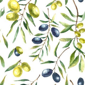Watercolor olive branch background.