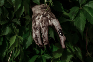 Horror and Halloween theme: terrible dirty hand with black fingernails zombie crawls out of green leaves, walking dead apocalypse