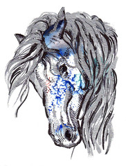 Obraz premium Końska głowa czarny i srebrny rysunek na tle akwarela splash
