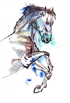 Leaping horse black and copper drawing on a watercolor splash background