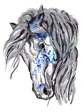 Horse's head black and silver drawing on a watercolor splash background