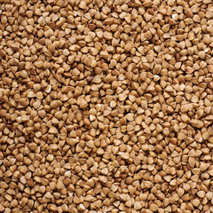 background texture of buckwheat