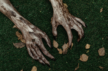 Horror and Halloween theme: Terrible zombie hands dirty with black nails lie on the green grass, the walking dead apocalypse, top view