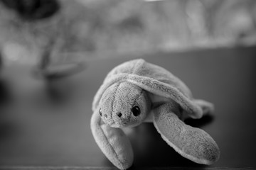 Image of turtle doll