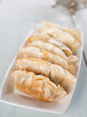Asian food pan fried dumplings
