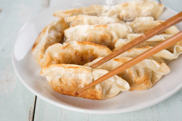 Asian appetizer pan fried dumplings