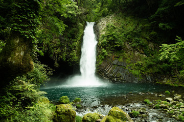 Lush green waterfall in Minami Izu, a day trip away from Tokyo for some nature and fresh air - obrazy, fototapety, plakaty