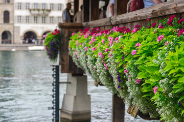 Flowers on The Chapel Bridge in Lucerne