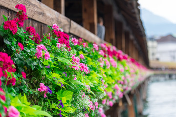 Fototapeta na wymiar Flowers on The Chapel Bridge in Lucerne