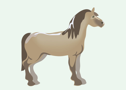Standing usually horse. Vector