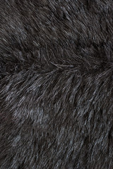 close up of black fur - textile background