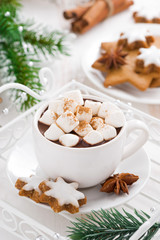 Obraz na płótnie Canvas spicy hot chocolate with marshmallows, vertical
