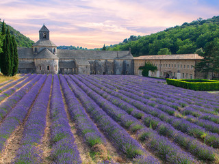 Abbey of Senanque with lavender field
