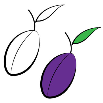 Purple vector plums.