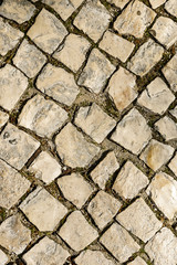 Walkway cobblestone. Cobbled road texture - vertical.