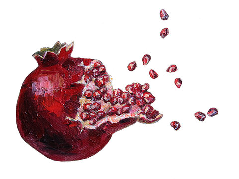 Ripe Pomegranate Fruit Bursting. Isolated Acrylic Handmade Painting On White Background.