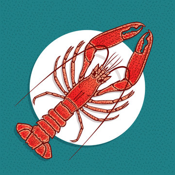 Lobster or crayfish vector illustration in vintage style. Seafood Restaurant logo or emblem template.