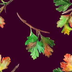 Fototapeta premium Watercolor green yellow orange red gooseberry leaf branch seamless pattern texture textile background